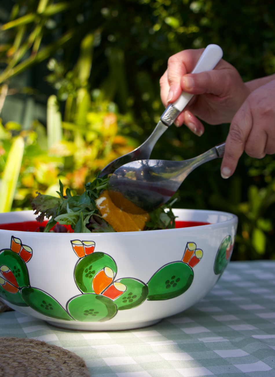 Cactus Bowl Large